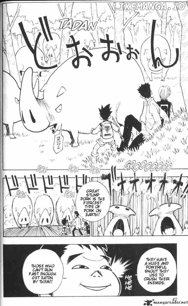 Hunter x Hunter, Chapter 10 image 17